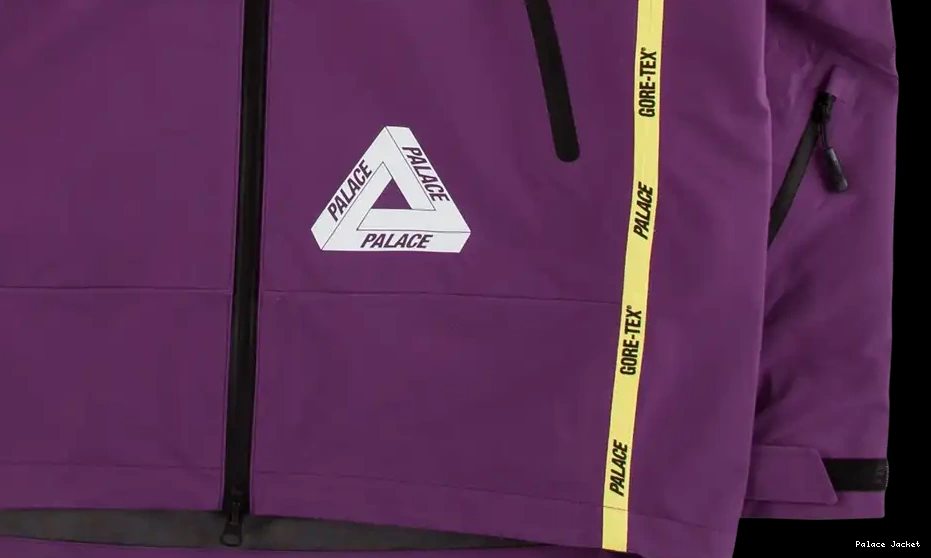 Affordable Palace Palex Gore-Tex Jacket 0516